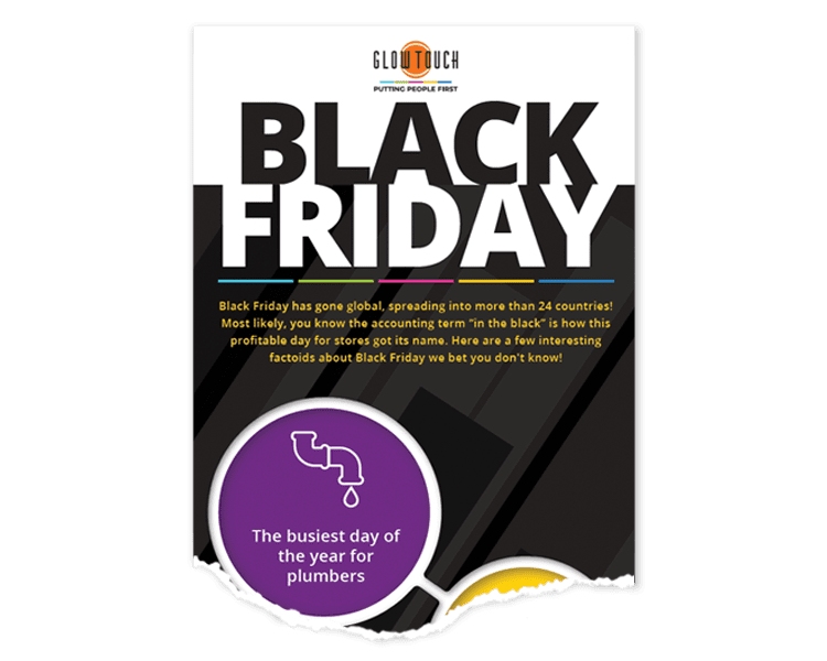 Black Friday Holiday Sales Infographic